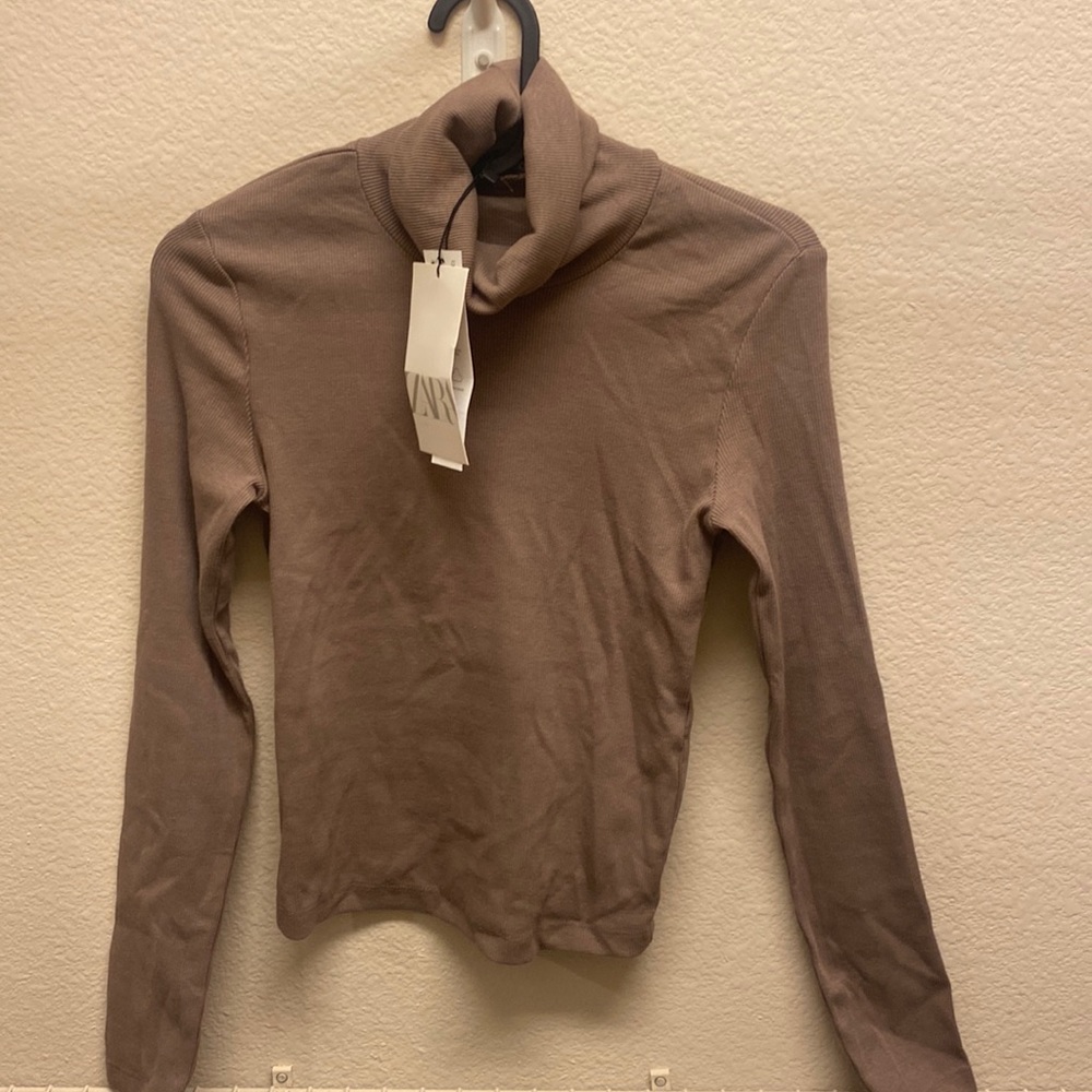 ZARA Crop Turtle Neck Top